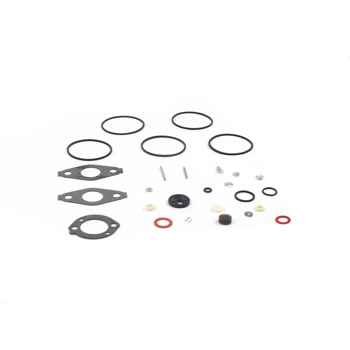 Briggs & Stratton 797634 Carburetor Overhaul Kit