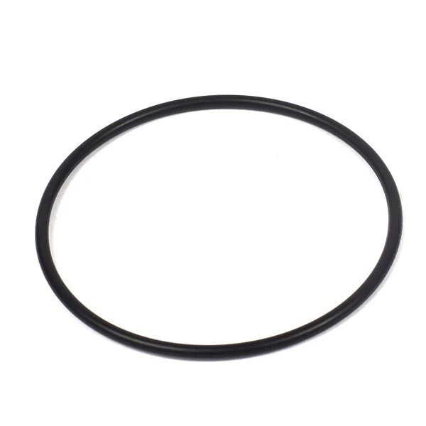 Briggs & Stratton 806466 O Ring Seal