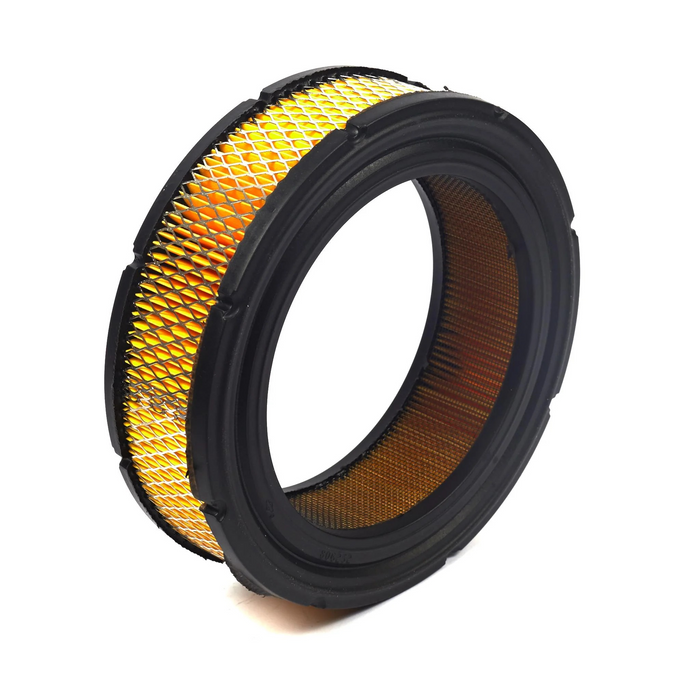 Briggs & Stratton 841856 Air Cleaner Cartridge Filter