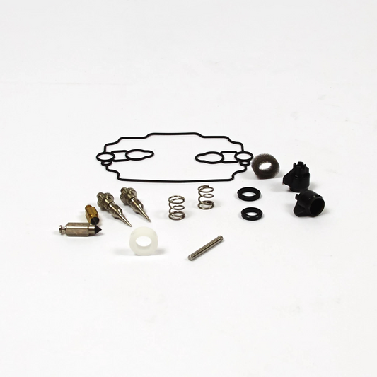 Kit de reparación de carburador Briggs &amp; Stratton 842873