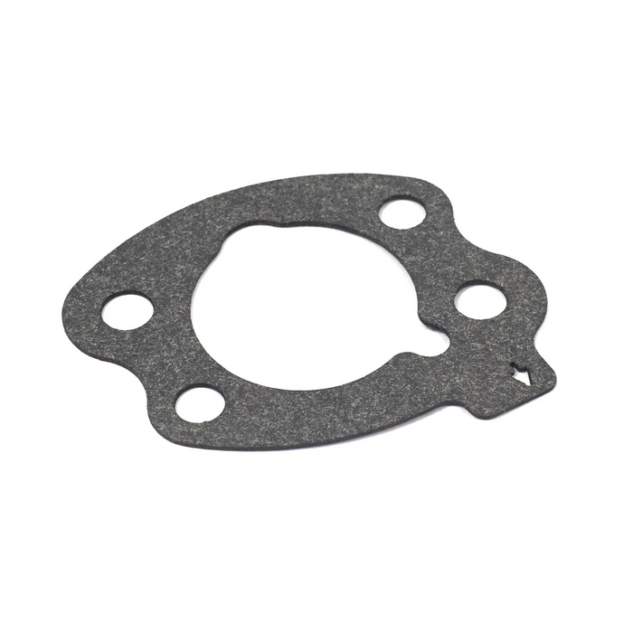 Briggs & Stratton 844931 Air Cleaner Gasket