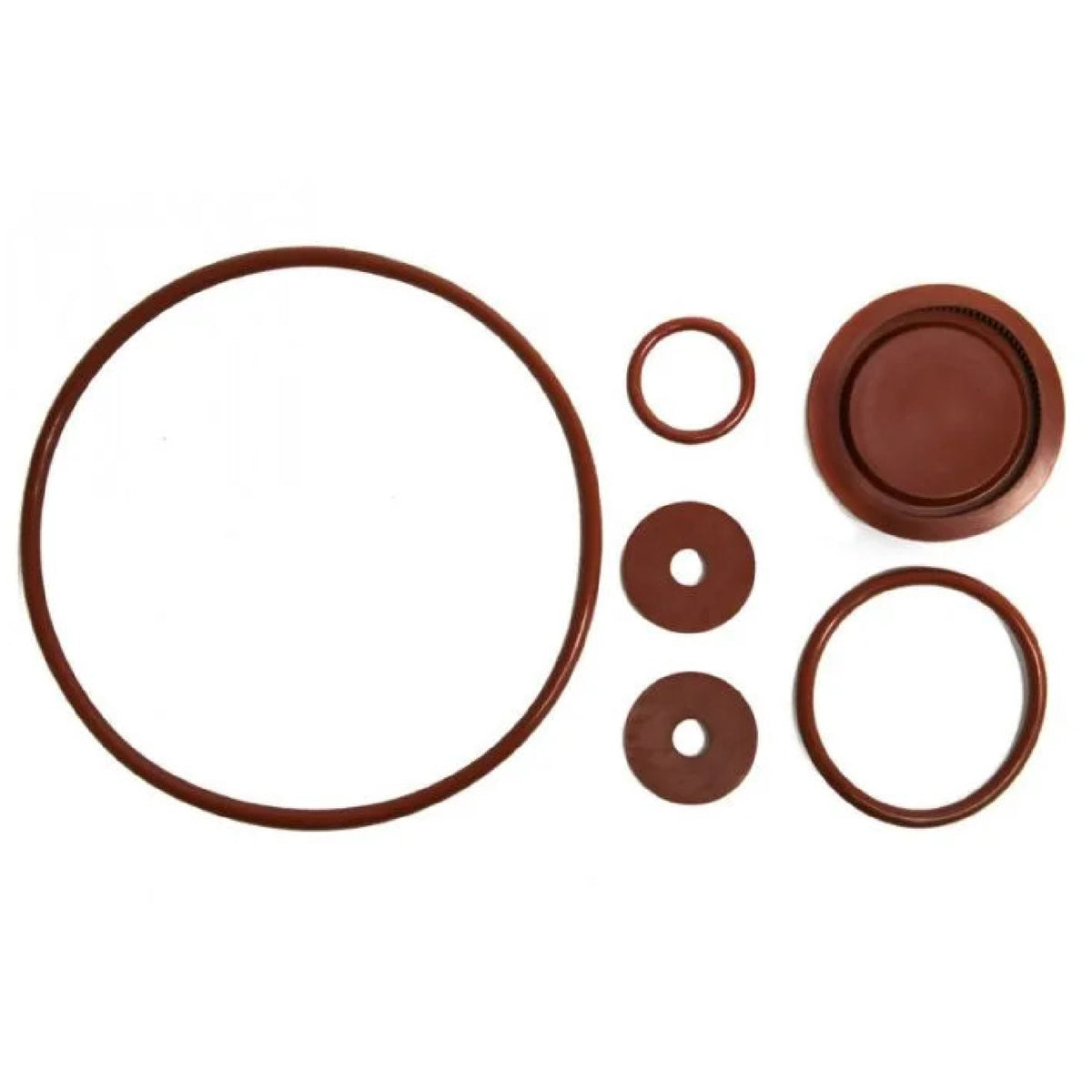 Chapin Manufacturing 6-8180 Kit de reparación de bomba de pistón
