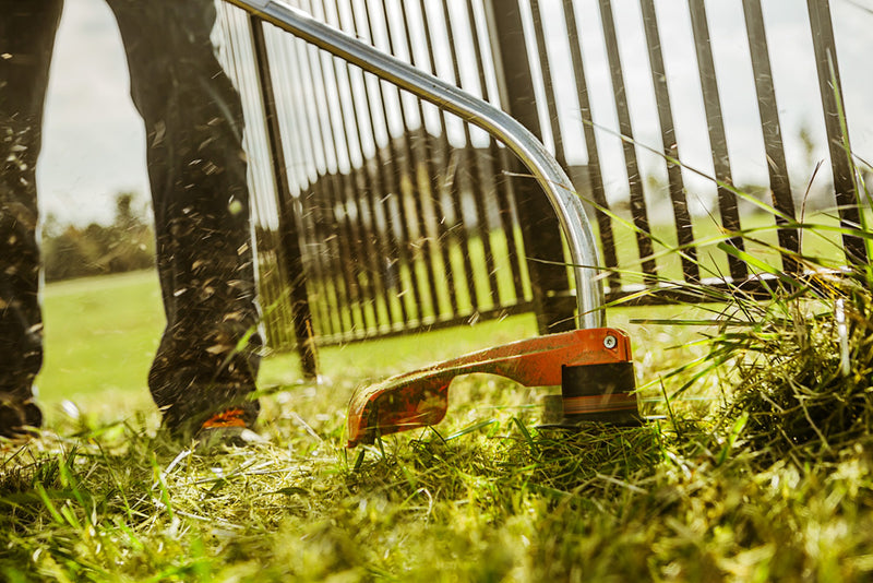 Stihl FS 50 C-E Curved Shaft Line Trimmer