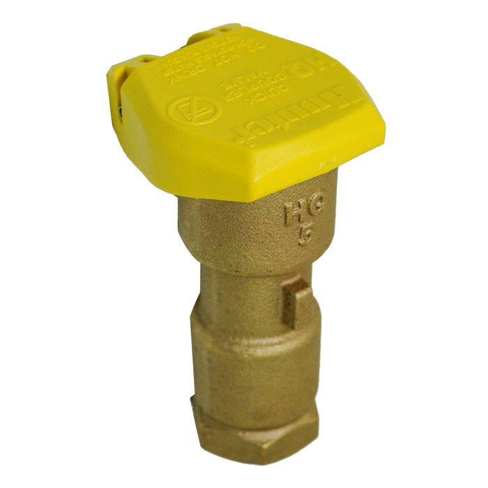 Hunter HQ5RC HQ Quick Coupler, 1" female inlet, 1 slot, 1-piece body; compatible with HK-55 Key, HS-1 or HS-2 Hos