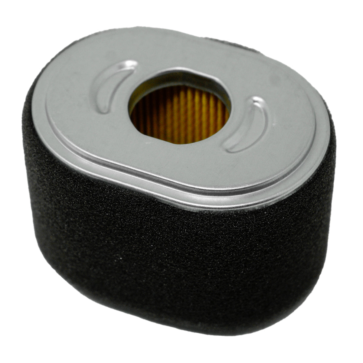 Honda 17210-Z4M-821 Dual Element Air Cleaner