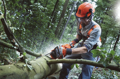 Husqvarna 555 Professional Chainsaw
