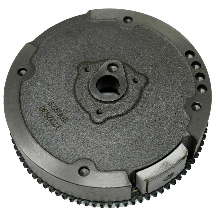 Kohler 17 025 30-S Flywheel Assembly