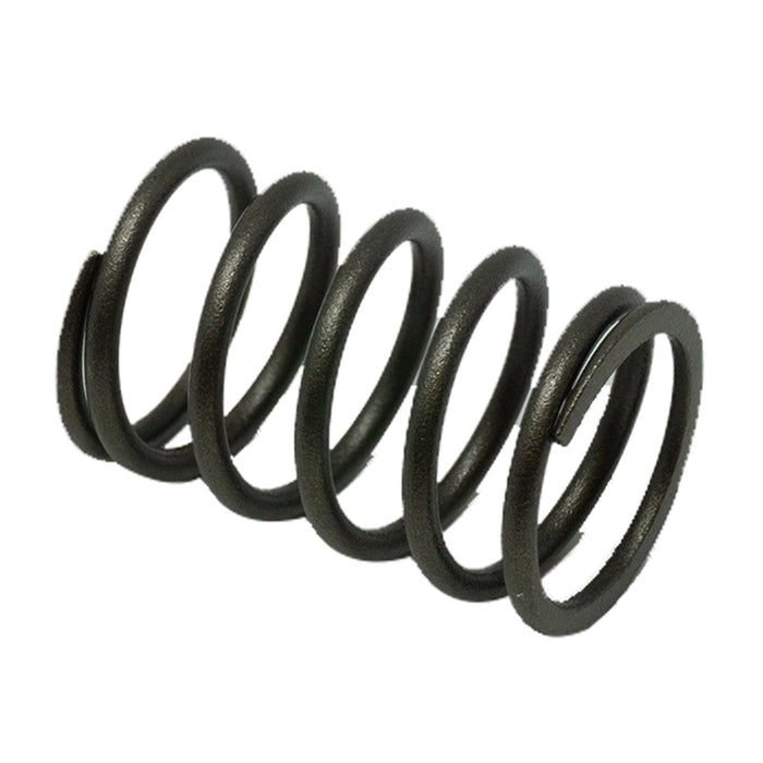 Kawasaki 49078-2087 SPRING-ENGINE VALVE
