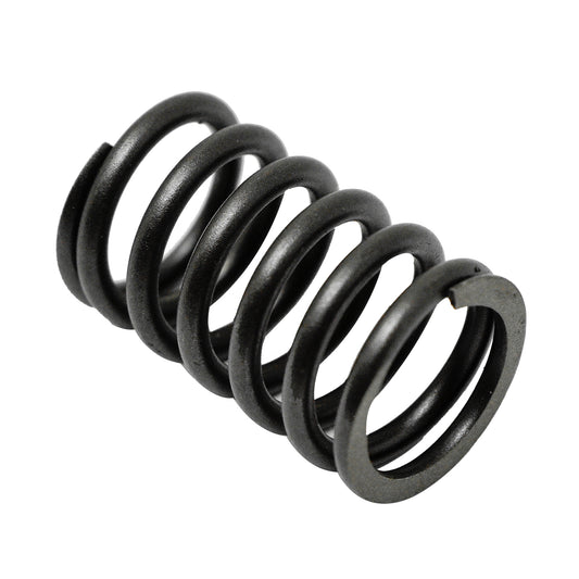 Kohler 24 089 02-S Valve Spring