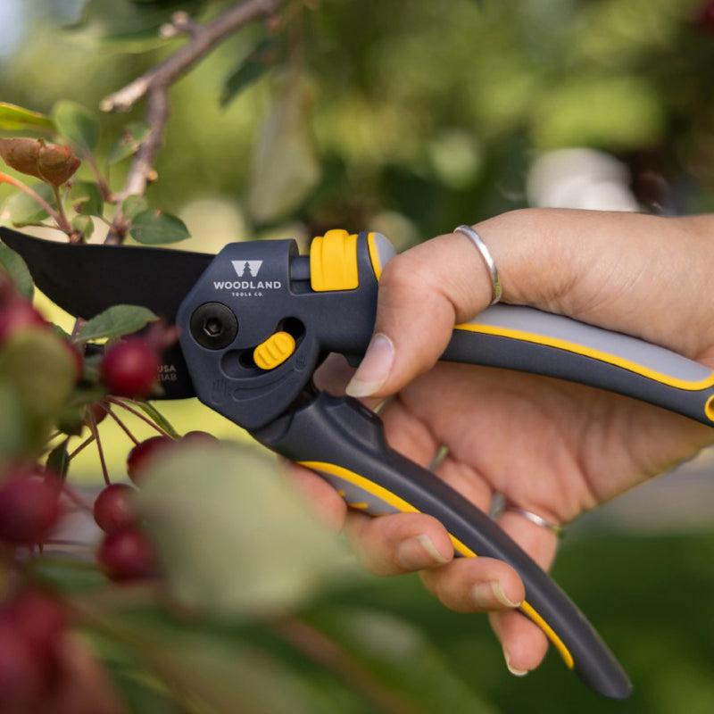 Woodland Tools Kit de podadora de podadoras de setos