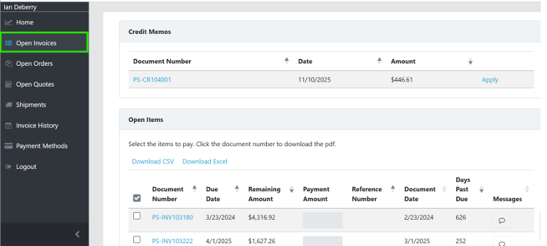 View ongoing invoices and past payments in the payment portal,