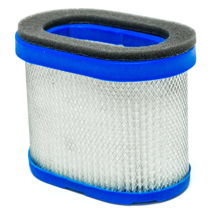 Air Filter for Briggs & Stratton 697029
