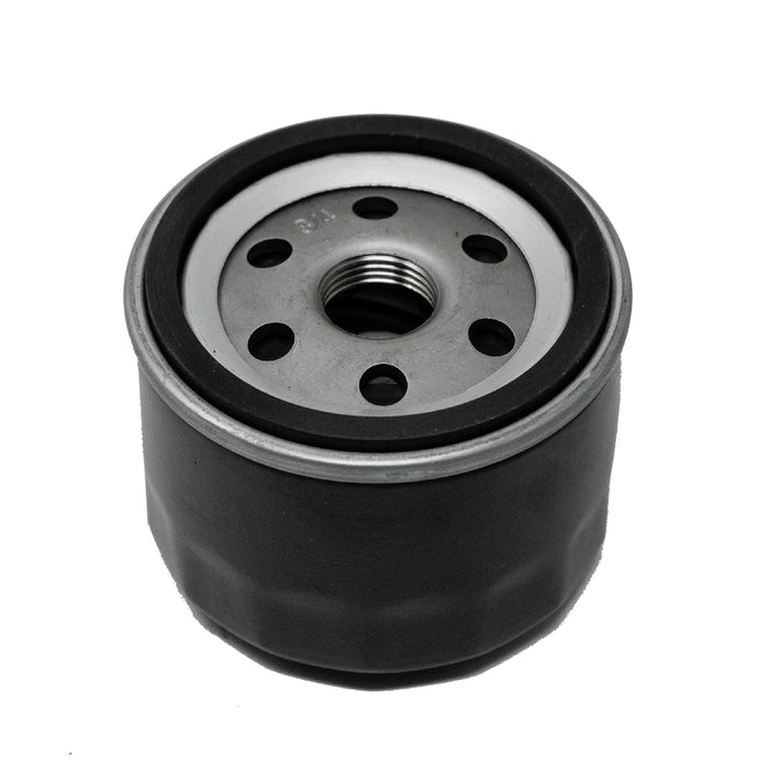 Raptor 10 CC6929 Oil Filter