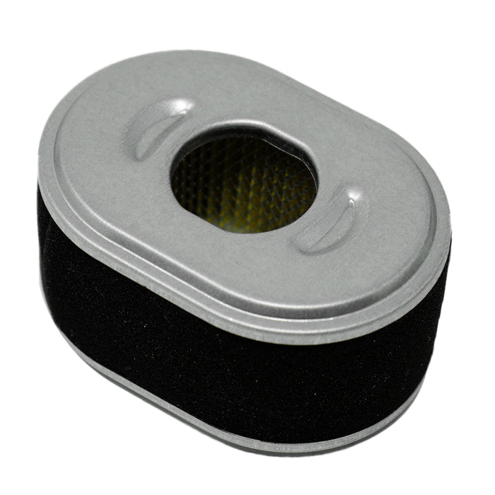 Stens 100-958 Air Filter Combo