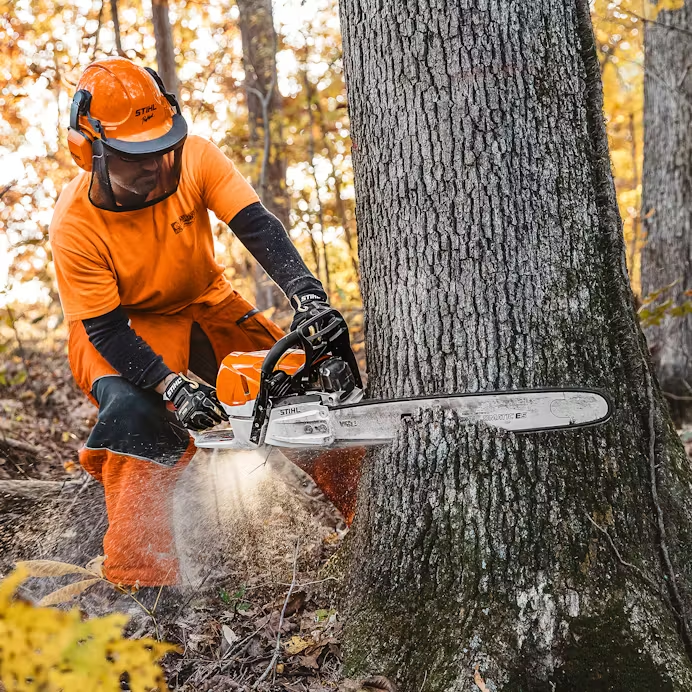 Stihl MS462 R C-M Chainsaw
