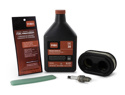Kit de mantenimiento del motor Briggs &amp; Stratton EXi Toro 20298