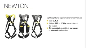 Petzl NEWTON EASYFIT Fall Arrest Harness Size 2