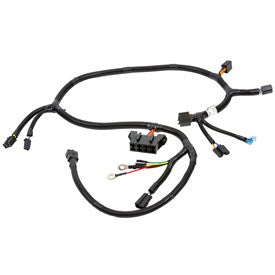 Exmark 109-2175 ECS Wiring Harness