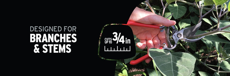 Corona BP 3160 ClassicCUT Bypass Pruner - 3/4 In.