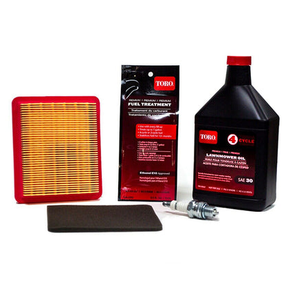 Kit de afinación Toro 20240