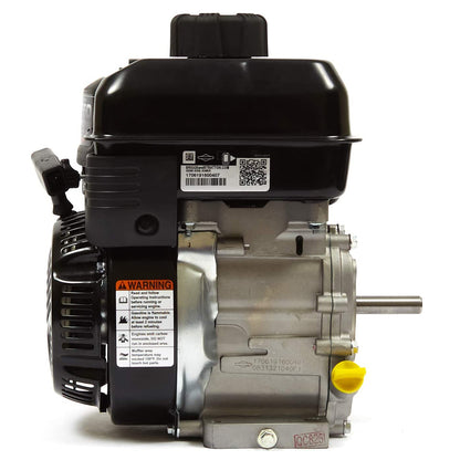 Briggs &amp; Stratton 83132-1040-F1 Motor serie 550 de 127 cc