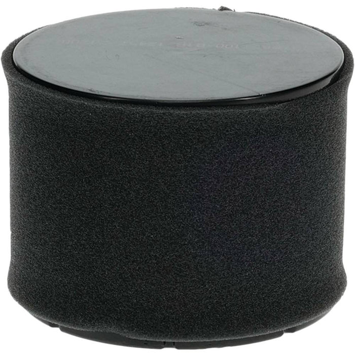 Stens 100-018 Air Filter Combo