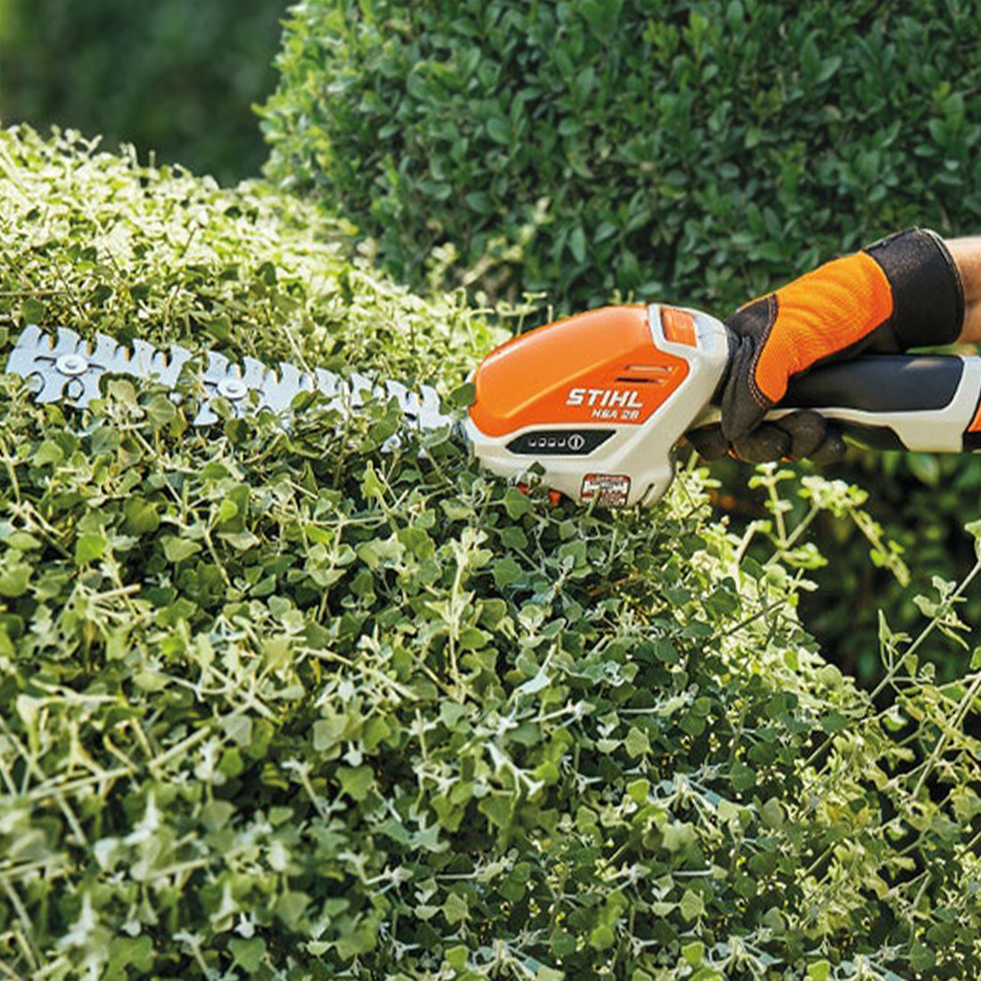 Stihl HSA 26 Battery Garden Shears w/ Battery & Charger