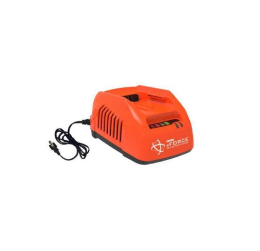 Cargador Estándar Echo LC-56V2AAB 56V